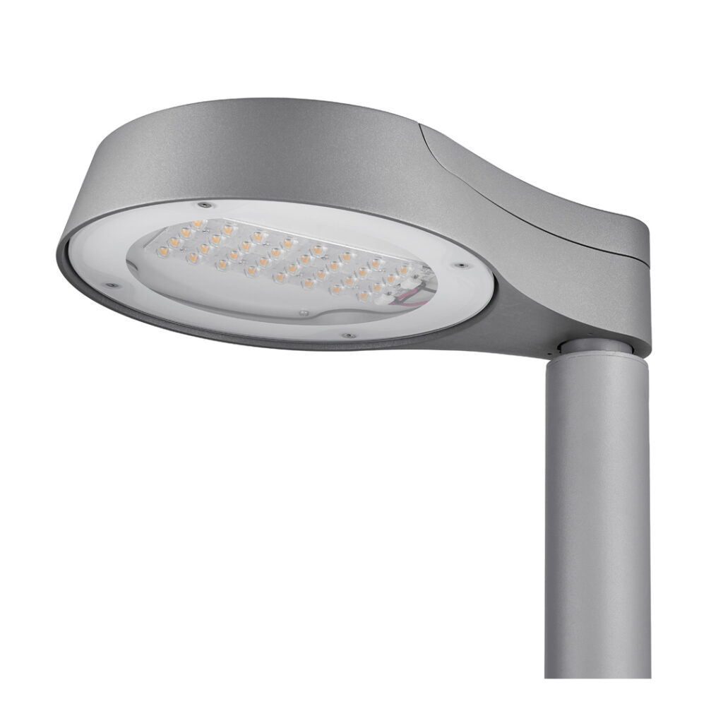 Lavinia Led