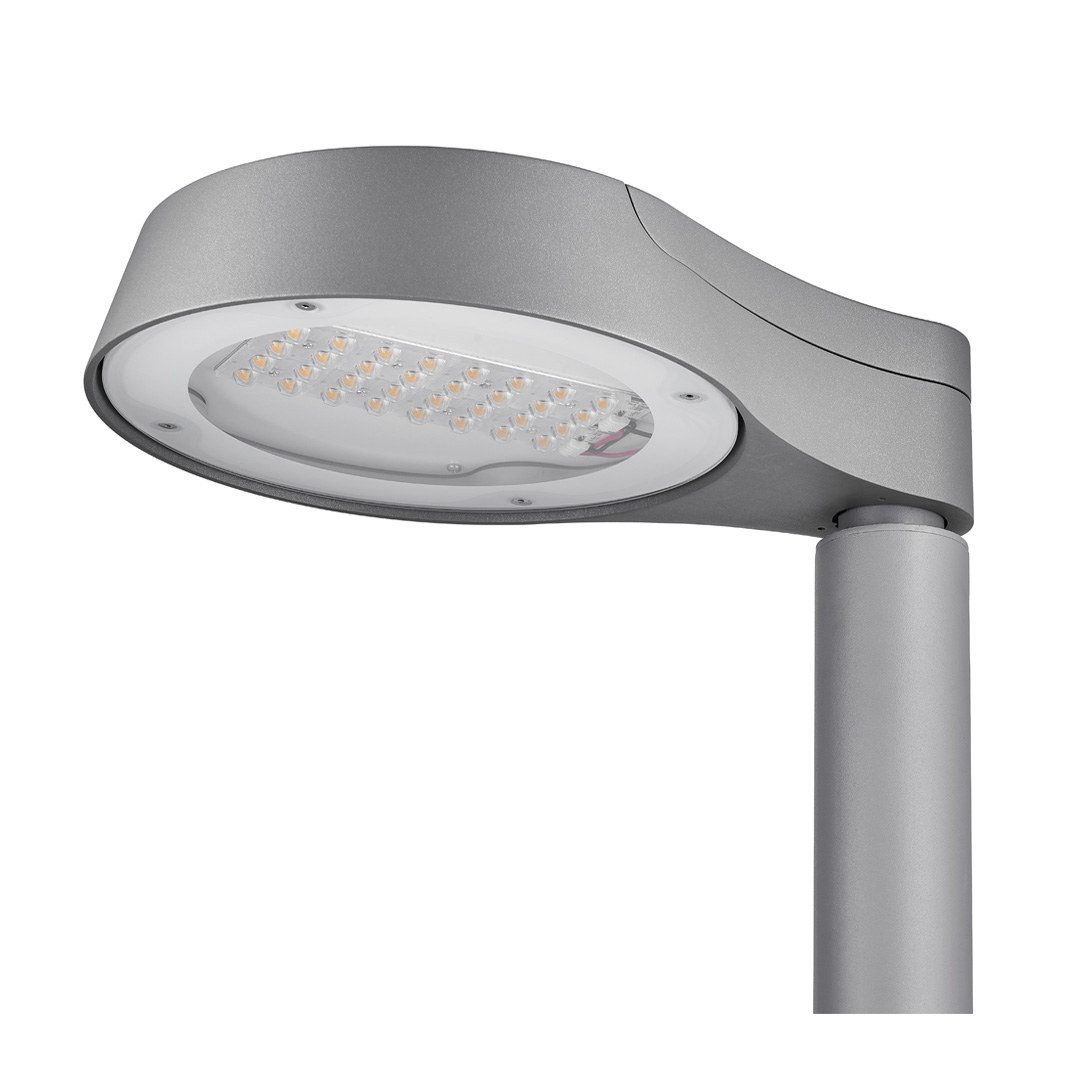 Lavinia Led
